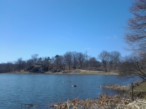 Free at last: Harlem Meer without ice.. (photo taken 03 21 2014)